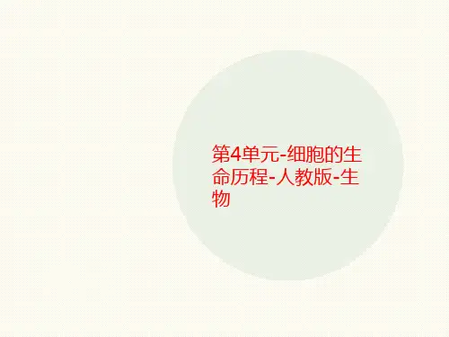 第4单元-细胞的生命历程-讲义人教版-生物