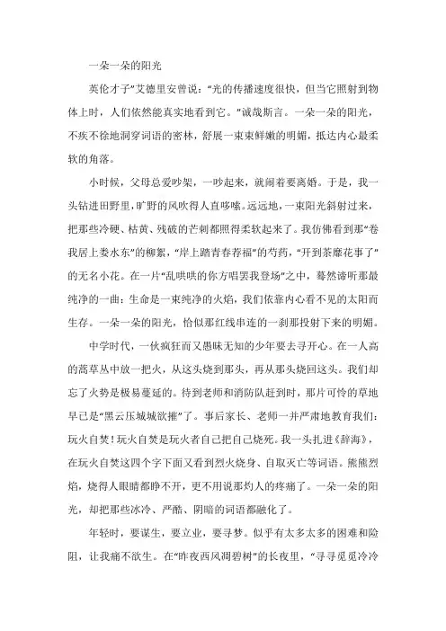 《一朵一朵的阳光》记叙文阅读