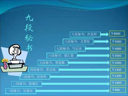 九段秘书