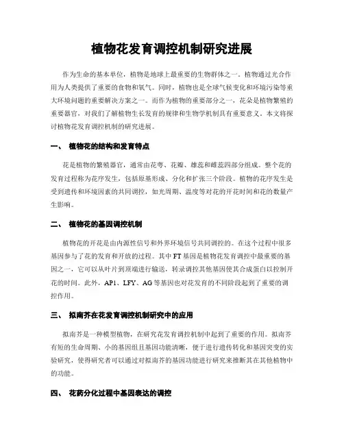 植物花发育调控机制研究进展