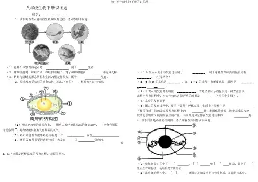 初中八年级生物下册的识图题
