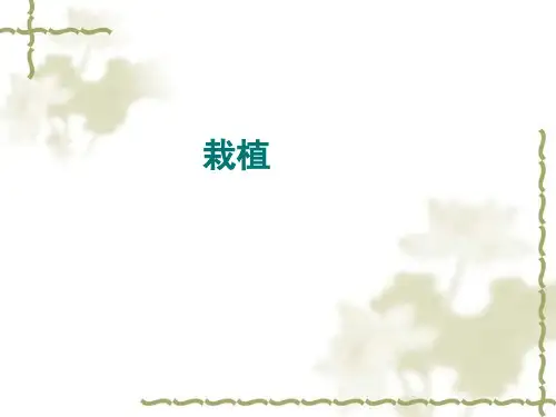 园林树木栽植的施工程序与技术栽植