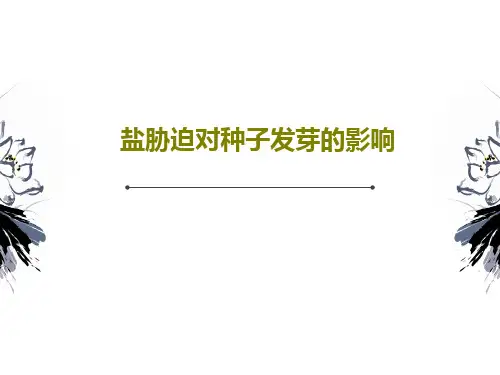 盐胁迫对种子发芽的影响21页PPT