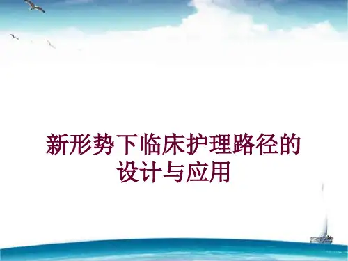 新形势下护理临床路径的设计与应用  ppt课件