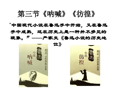 第三节《呐喊》《彷徨》-PPT精选文档