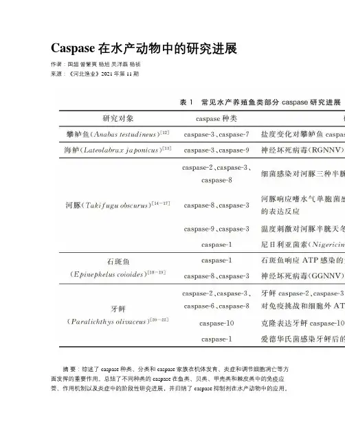 Caspase在水产动物中的研究进展