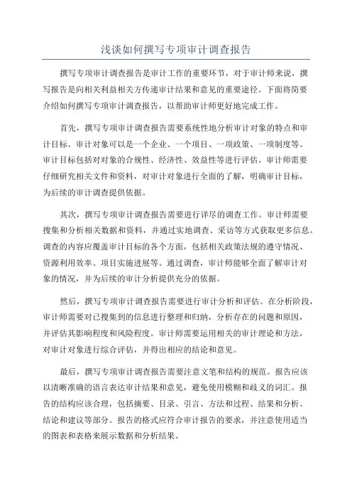 浅谈如何撰写专项审计调查报告