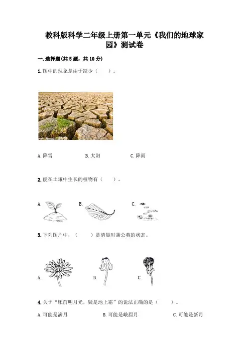 教科版科学二年级上册第一单元《我们的地球家园》测试卷及参考答案(精练)