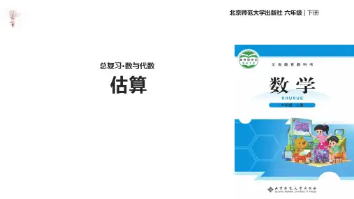 六年级下册数学获奖课件 总复习数的运算： 估算 北师大版