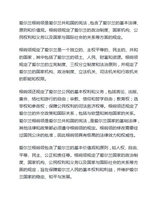 爱尔兰根纲领内容