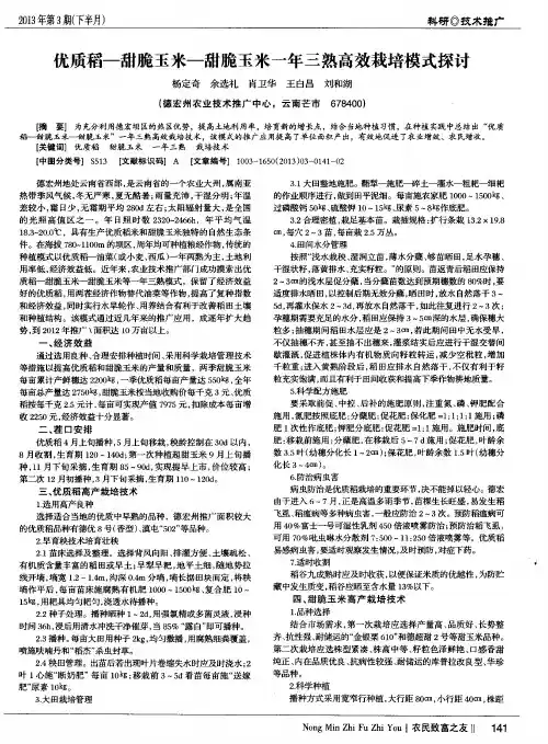 优质稻-甜脆玉米-甜脆玉米一年三熟高效栽培模式探讨