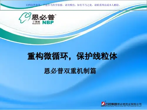 丁苯酞资料专业医学知识宣讲课件
