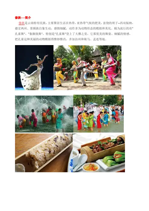 少数民族资料汇编