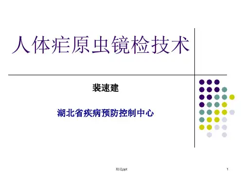 人体疟原虫镜检技术