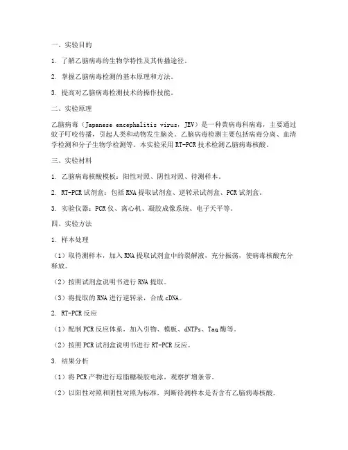 乙脑检测实验报告