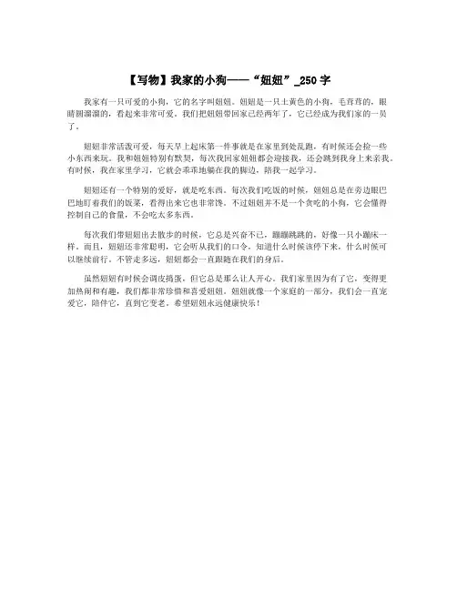 【写物】我家的小狗——“妞妞”_250字
