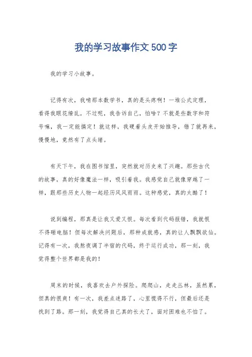 我的学习故事作文500字