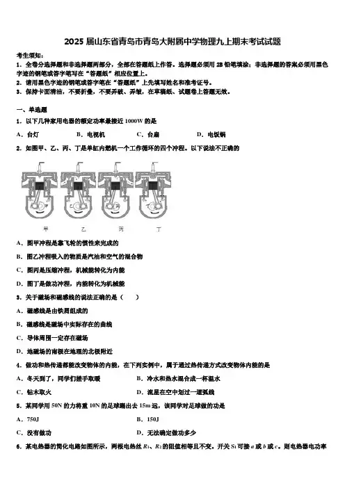 2025届山东省青岛市青岛大附属中学物理九上期末考试试题含解析