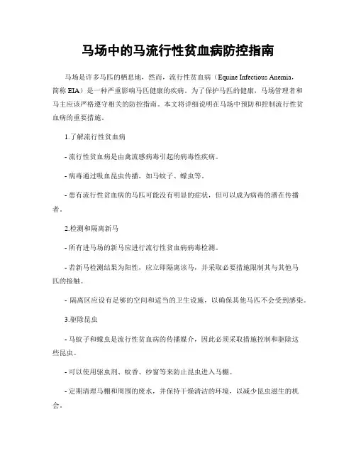 马场中的马流行性贫血病防控指南