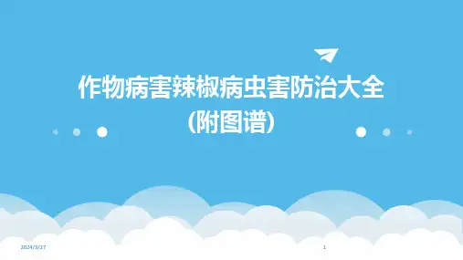 作物病害辣椒病虫害防治大全(附图谱)-2024鲜版