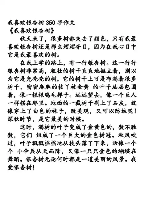 我喜欢银杏树350字作文