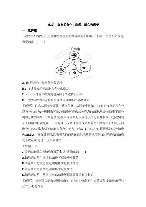 1.4.2细胞的分化、衰老、凋亡和癌变