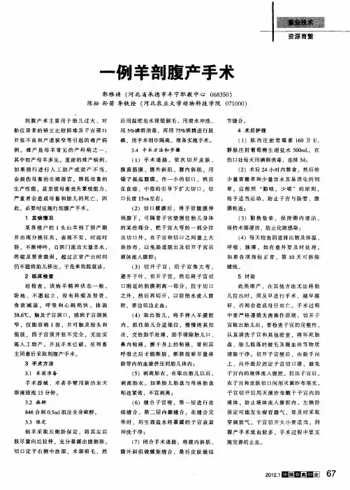 一例羊剖腹产手术