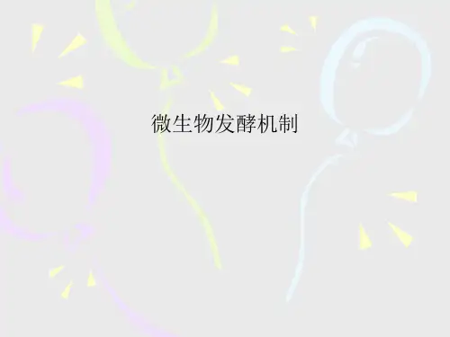 微生物发酵机制