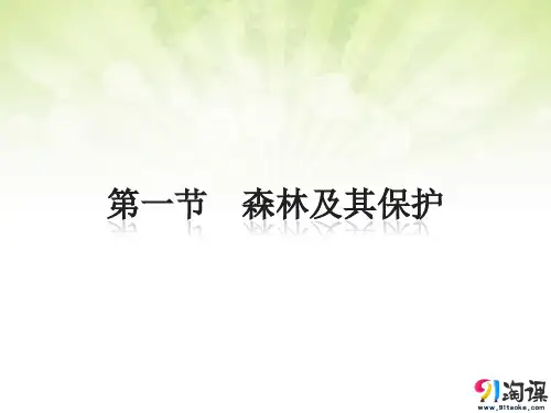 课件12：4.1 森林及其保护