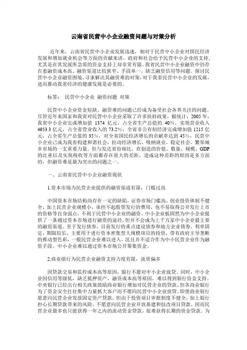 云南省民营中小企业融资问题与对策分析
