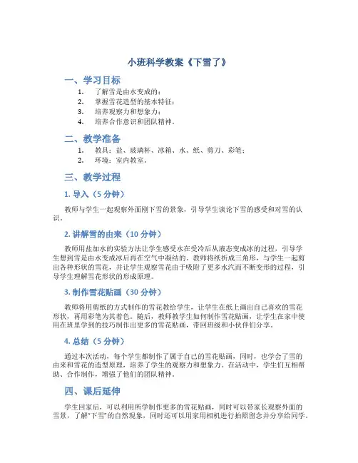 小班科学教案《下雪了》