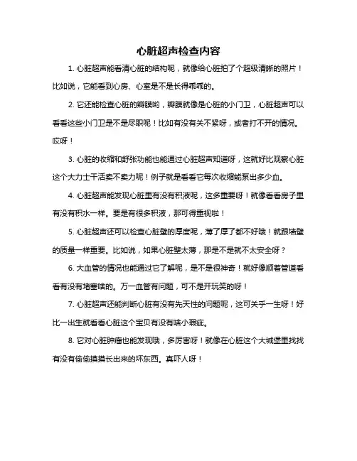 心脏超声检查内容