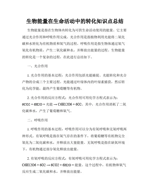 生物能量在生命活动中的转化知识点总结