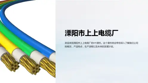 《溧阳市上上电缆厂》课件