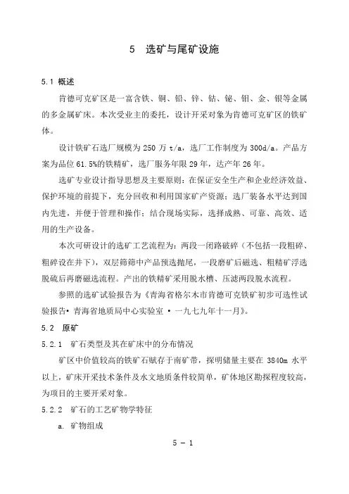 5 选矿与尾矿设施