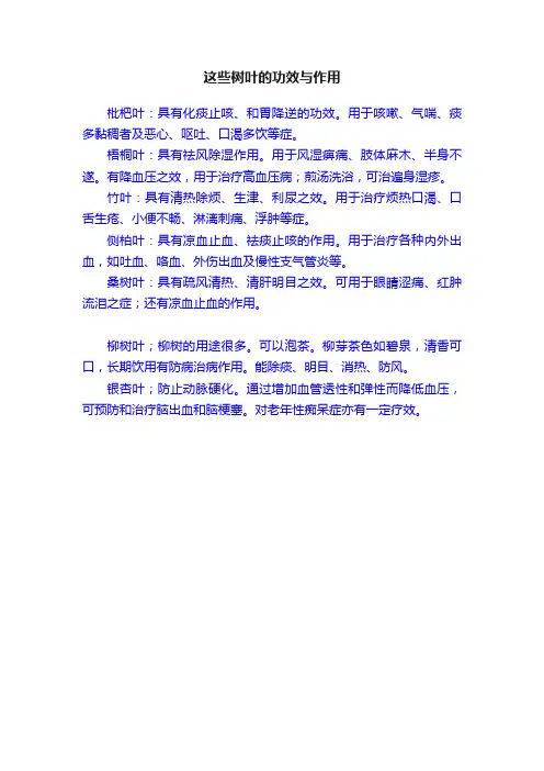 这些树叶的功效与作用