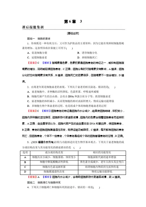 2024-2025学年高中生物 新人教版 必修1 配套练习 第6章 3