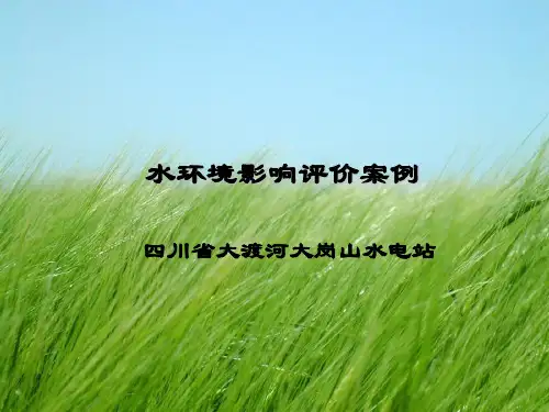 水环境影响评价案例幻灯片PPT