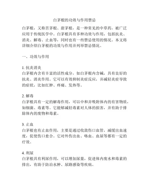白茅根的功效与作用禁忌