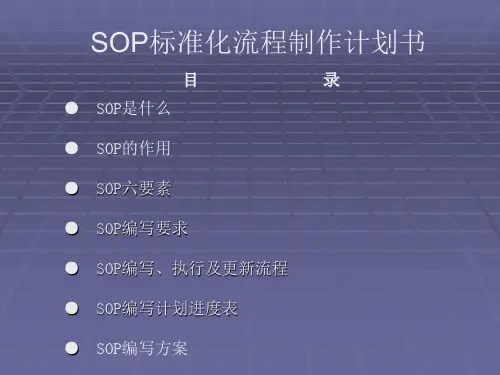 SOP标准化流程制作计划书