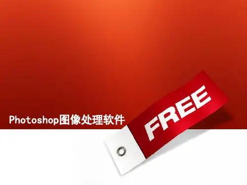 PS第4课时色彩精品PPT课件