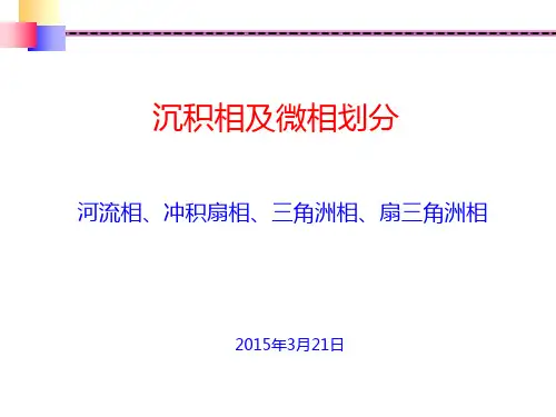 沉积相及微相划分ppt课件
