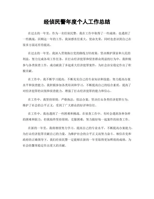 经侦民警年度个人工作总结