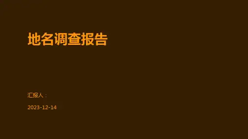 地名调查报告