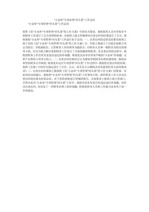 “小金库”专项治理“回头看”工作总结