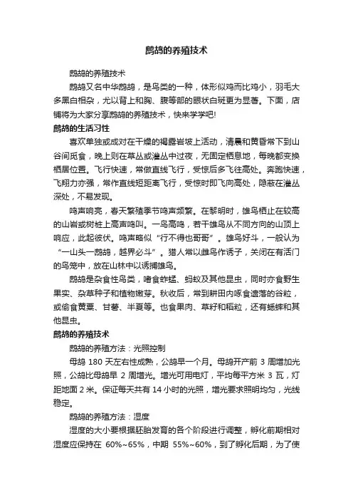 鹧鸪的养殖技术