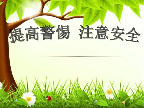 关爱留守儿童安全教育主题班会ppt课件