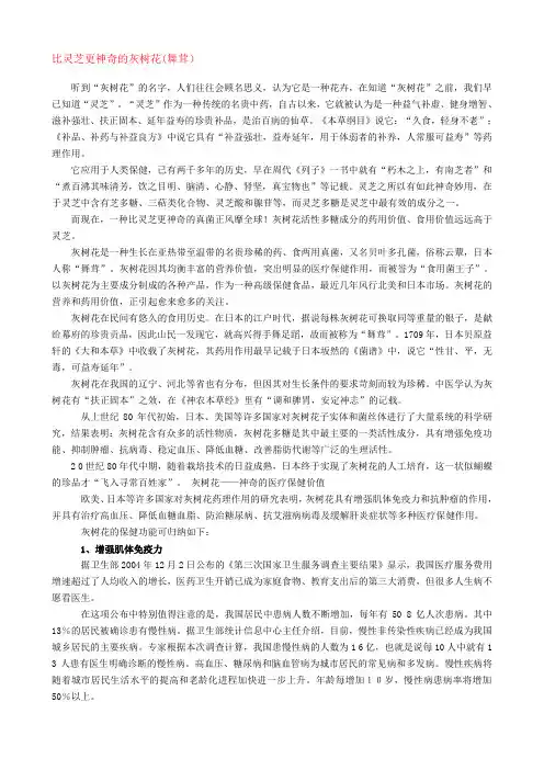 比灵芝更神奇的灰树花(舞茸)