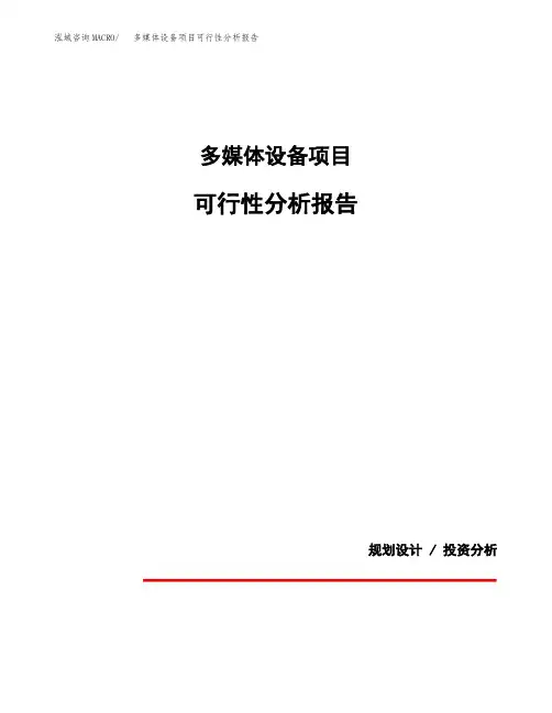 多媒体设备项目可行性分析报告(模板参考范文)
