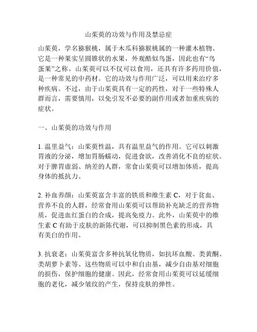 山茱萸的功效与作用及禁忌症